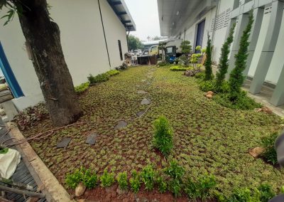 Taman